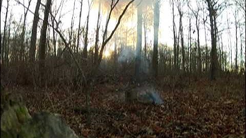 HartaTac.com shoots H2 Targets and Blows Up Timber