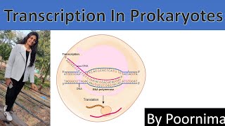 TRANSCRIPTION IN PROKARYOTES | By Poornima Garg|