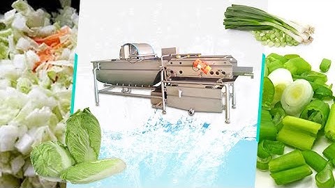 Cabbage Washing Plant | Commercial Eddy Current Washing Machine for Kitchen and Restaurant