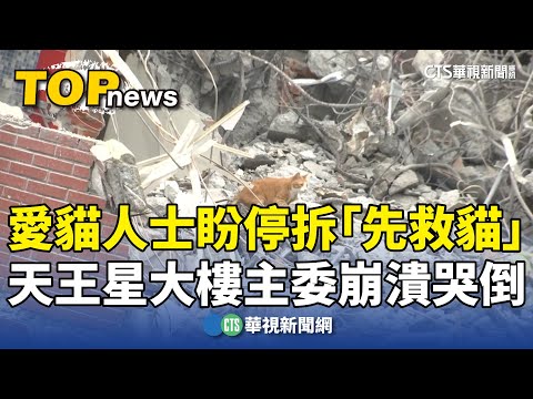 愛貓人士盼停拆「先救貓」 天王星大樓主委崩潰哭倒｜華視新聞 20240411