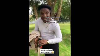 Big Zulu insuku Ezinhle Nezimbi