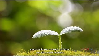 LOWINFOOD World Environment Day