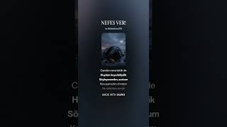 NEFES VER