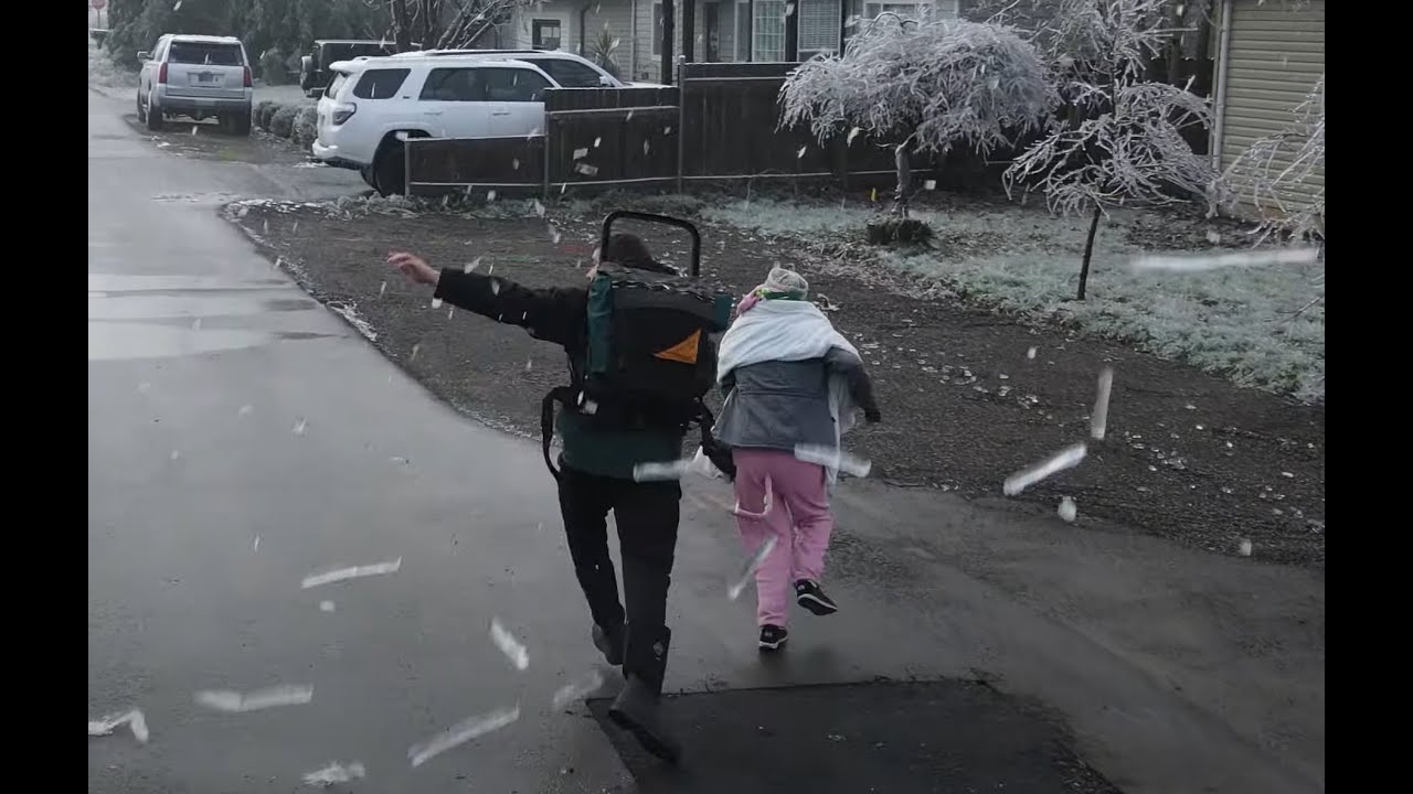 2021 Feb. 4K Ice Storm, Keizer Oregon.