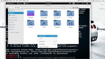 Терминал Linux и базовые команды