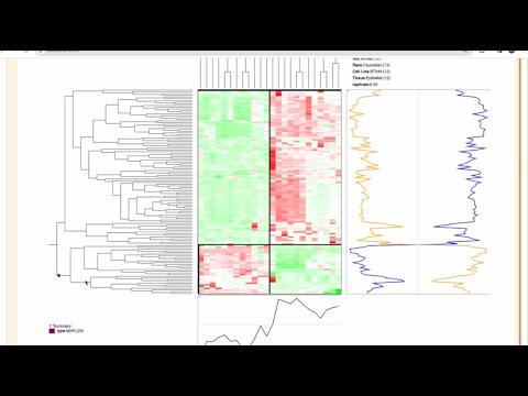 COMPASS: Redefining data scale limits for mass spec-based OMICs