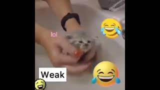 SHITPOST STATUS (ULTIMATE EDITION)