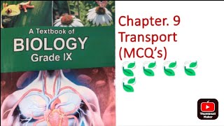chapter 9 MCQ's| Transport| Class 9 Biology| KPK Board