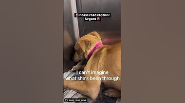 donate to help us feed and save lives of little onesIf you want to help, link in bio to donate ❤