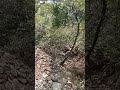 mood off #mountains #travel #love #nature #ytshorts#viralvideo