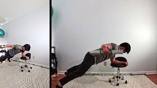 Plank Reverse Fly R