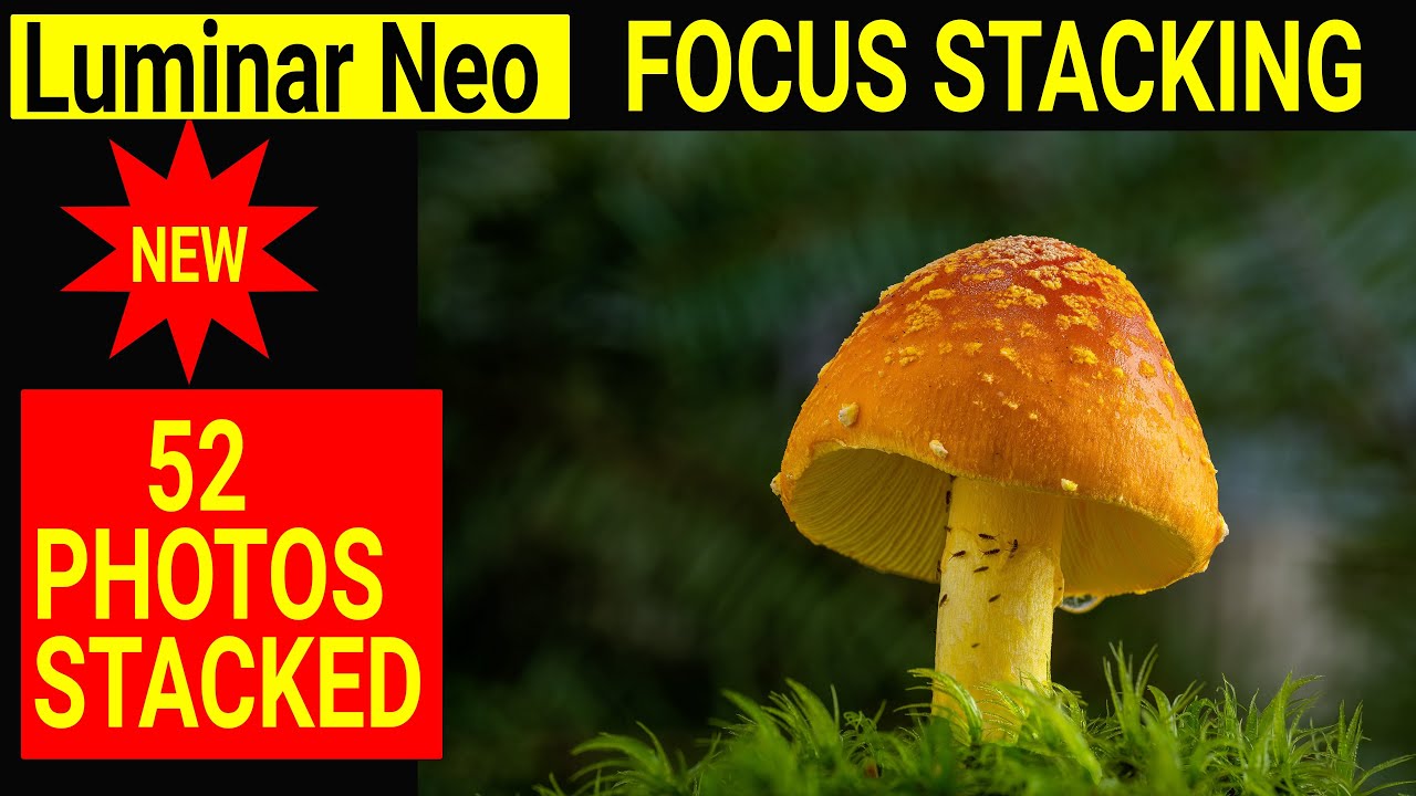 NEW Luminar Neo FOCUS STACKING extension review and comparison with