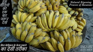 बिना केमिकल के कच्चे केले पकाने का ऐसा तरीका वीडियो एक बार जरूर देखे~artificial ripening of banana