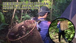 KETENGAH HUTAN mencari buah durian di penghujung musim | durian merah#duriankalimantan #durianmerah