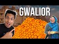 24 hours in gwalior  best street food you must try