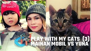 CARA KUCING KAMPUNG  BERMAIN DENGAN MOBIL MOBILAN | MOGGY CATS screenshot 1