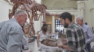 Bring your mystery object to Field Museum's ID Day