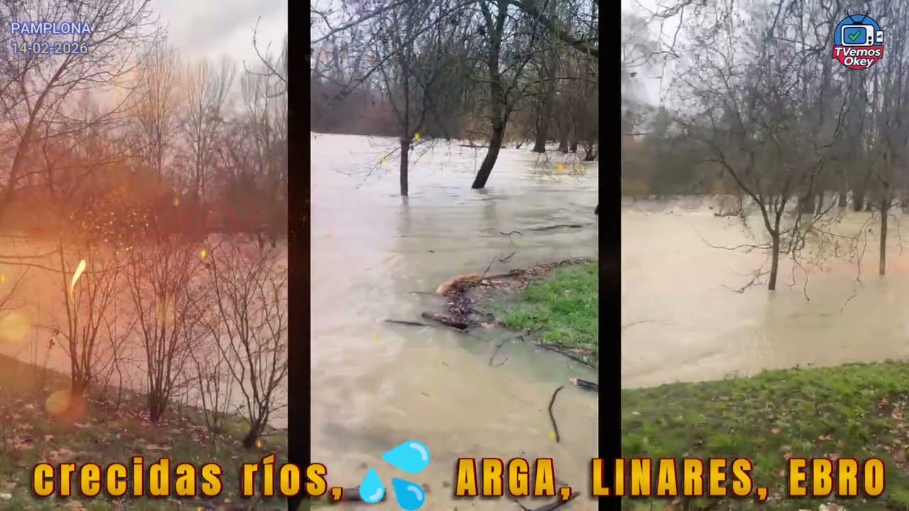 CRECIDAS RÍOS ARGA, LINARES Y EBRO, Pamplona, Espronceda, Mendavia , 14 de febrero de 2025