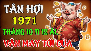 Tử Vi Tháng 10-11-12 Âm 2025 Tuổi Tân Hợi 1971 | Vượng Khí Tới Cửa, Tiền Bạc Đầy Tay