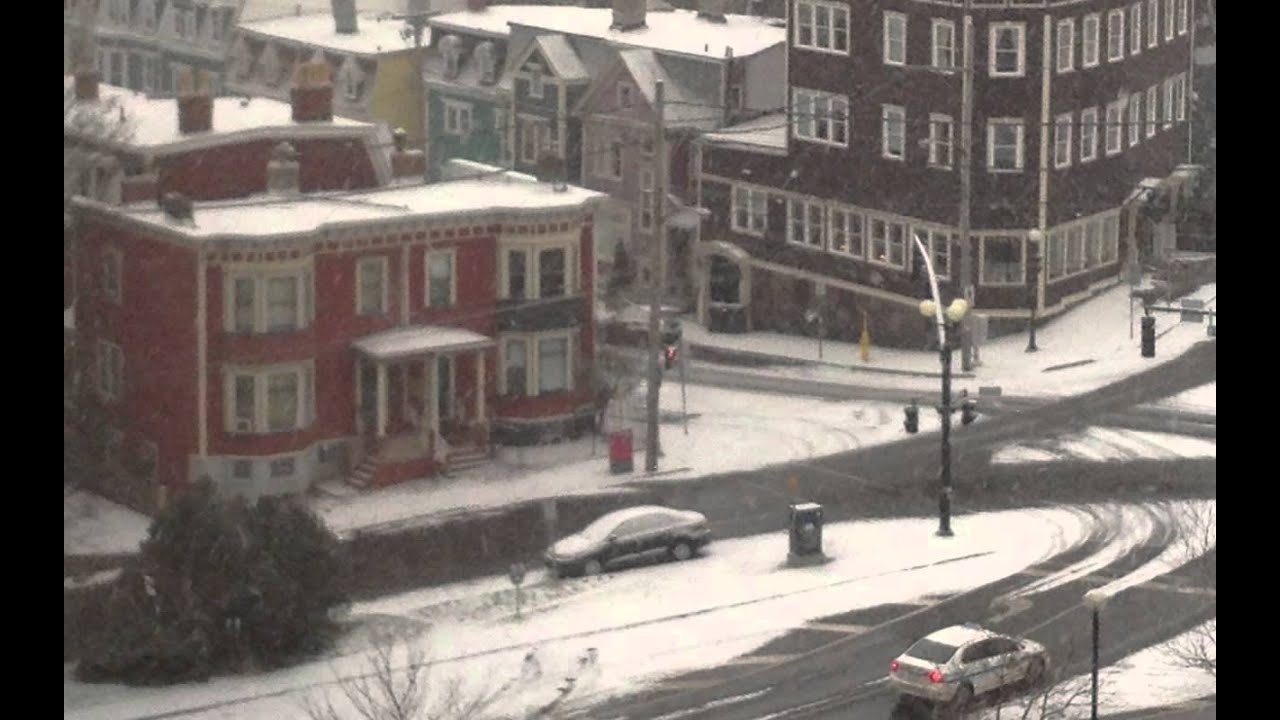 Our Newfoundland Experience