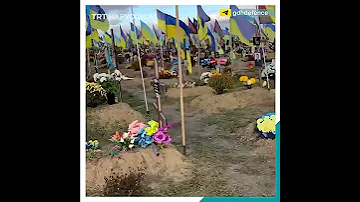 Как сейчас выглядит Харьковское кладбище