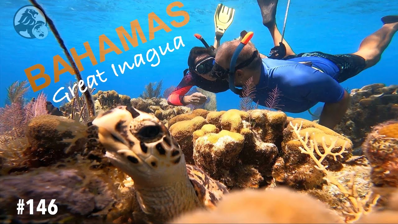 ⁣BAHAMAS, nous y sommes ! Quelques formalités d’entrée, puis à nous la liberté !