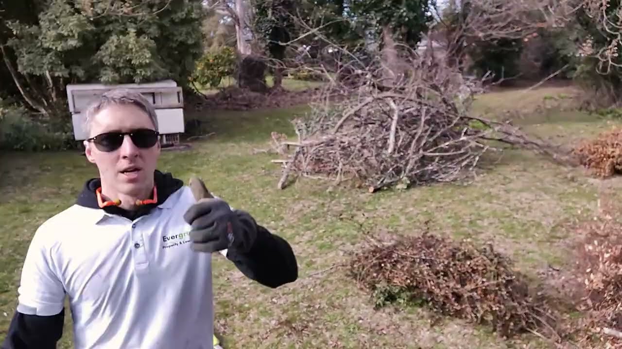 Timelapse: Piling Up a Mountain of Wood | Satisfying Branch Stacking