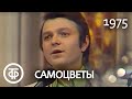 Ансамбль "Самоцветы" "Там, за облаками" (1975)