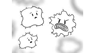 Of Patterns and Cancer in Mice and Flies