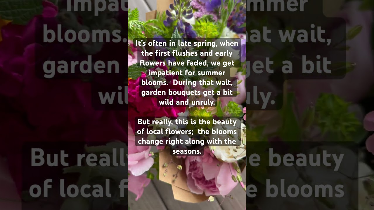 Late spring. A time to reflect & anticipate. #cutflowers #flowerfarming #gardening #gardenpoetry