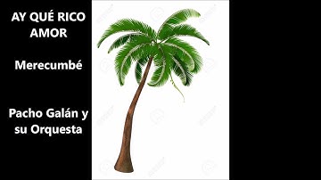AY QUE RICO AMOR _merecumbé- Pacho Galán y su Orquesta