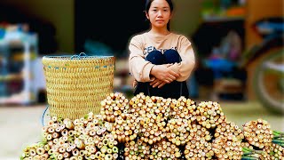 Close-up of harvesting fresh bamboo shoots sold at the market | Huyen farm life