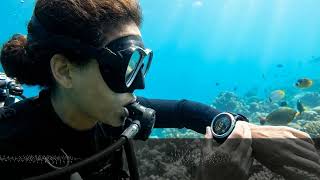 How to Read a Dive Computer Display Underwater