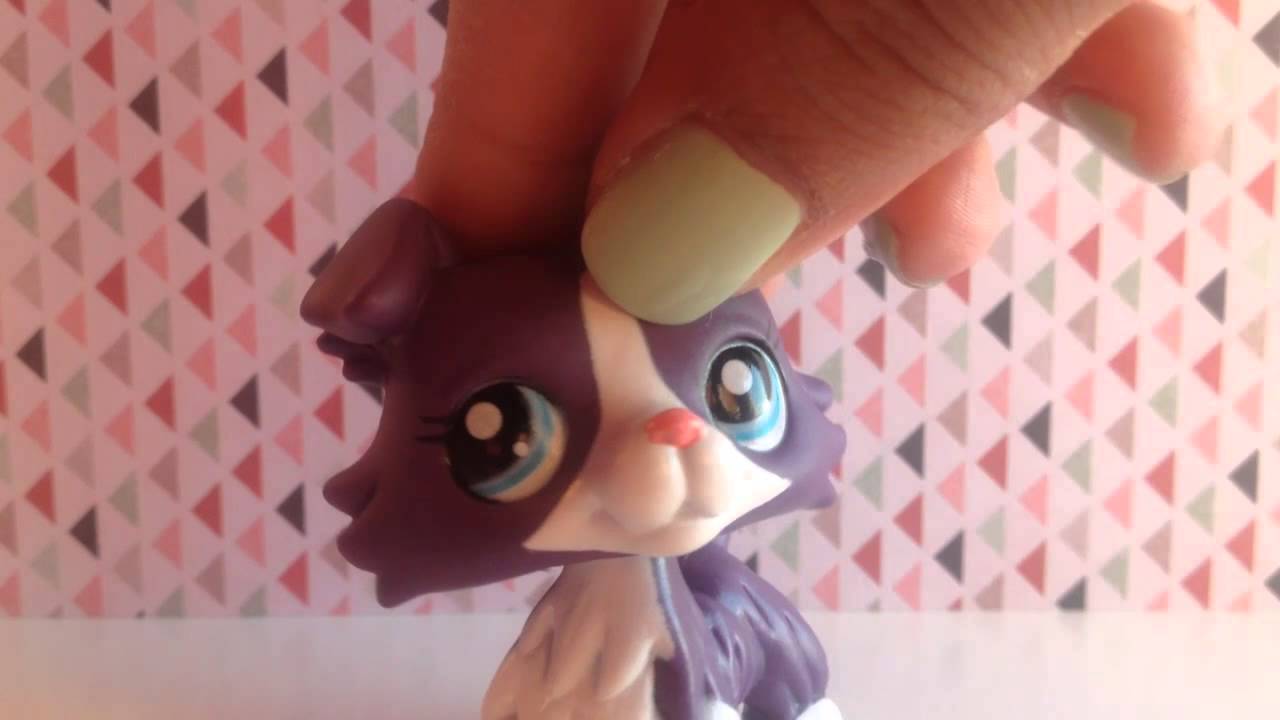 UPDATES!!! And LPS Customs On eBay? YouTube