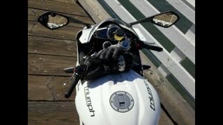 LIVE: Suzuki Hayabusa REVIEW!