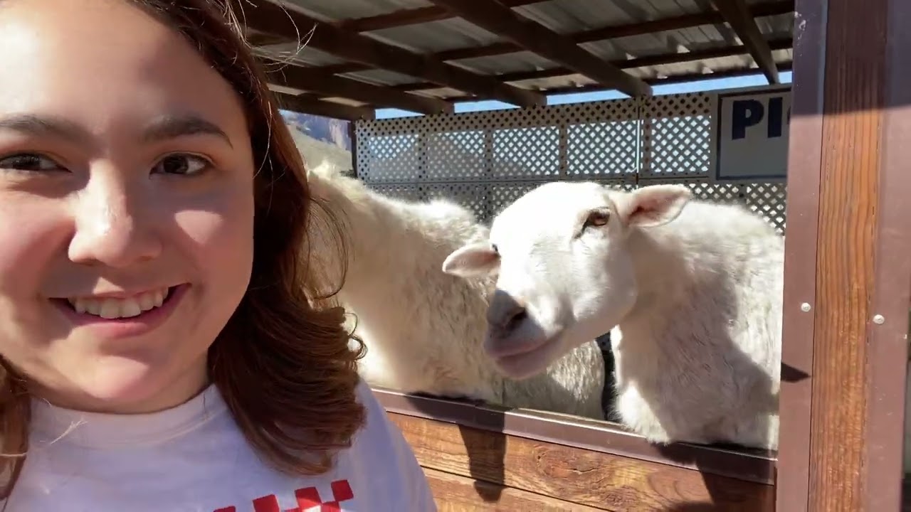 Road Trip to the Ostrich Ranch | Living as Lopes Season 4 Episode 9
