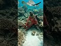 Stingray POV: Tiny Camera Glides Over a Hidden Ocean Floor 😳🌊 #microexploration #wildlife #tinyworld