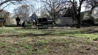 CIMG0616.AVI