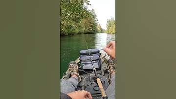 Catching twigs. #kayakfishing #fishing #bass #shorts #smallmouth #ascend #shimano #vanford #fenwick