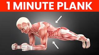 Plank Every Day for 1 Minute: See What Happens to Your Body 🔥