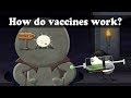 How do vaccines work? | #aumsum #kids #science #education #children