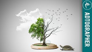 CREATIVE SURREAL TREE MANIPULATION PHOTOSHOP TUTORIAL !! easy way