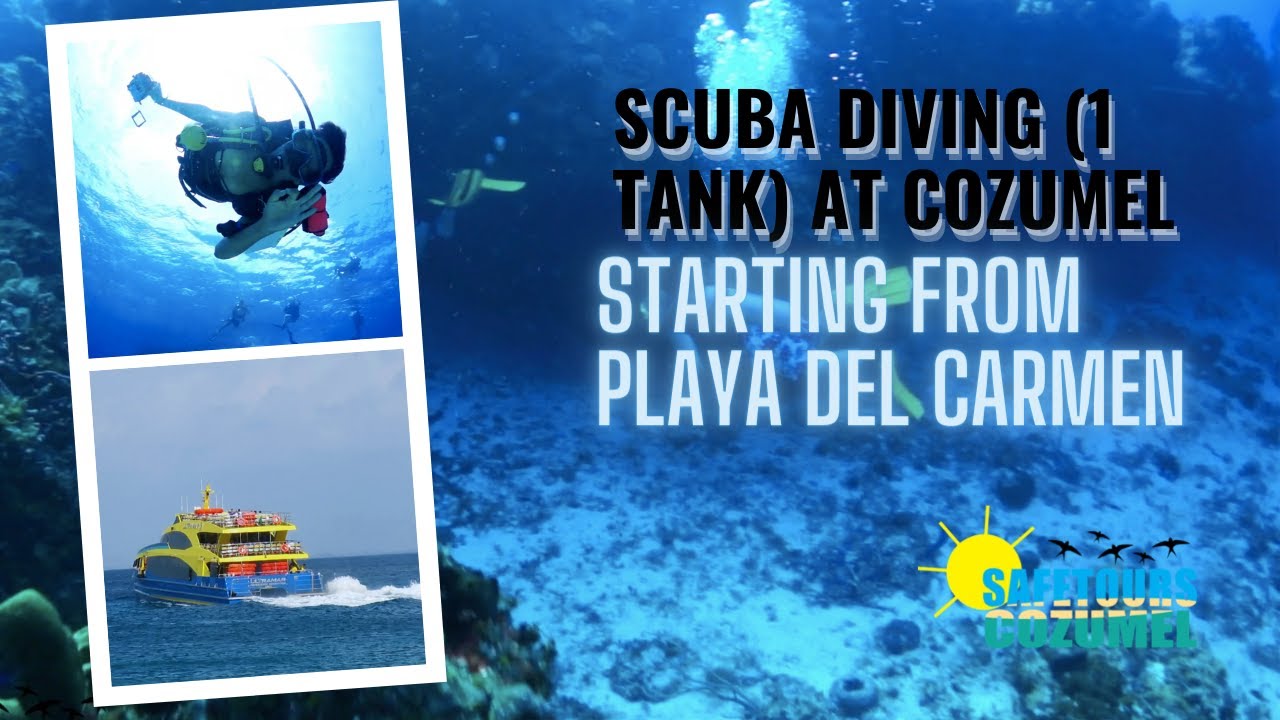 Scuba Diving (1 tank) at Cozumel starting from Playa del Carmen | Safe ...