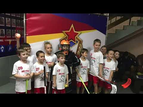 Спортивной команды акулы