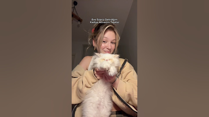 ANNEMİN KEDİME TEPKİSİ 😍 #shorts #evcilhayvan #kedi #tepki #reaction