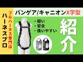 【スタッフ推しフルハーネス】PANGAEA  CANYON（パンゲア　キャニオン）のご紹介！