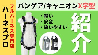 【スタッフ推しフルハーネス】PANGAEA  CANYON（パンゲア　キャニオン）のご紹介！
