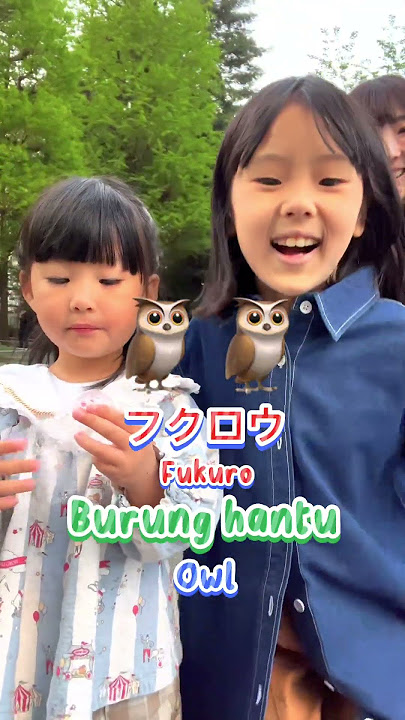 Name Of Poultry in Japanese | Nama - Nama Binatang Unggas Dalam Bahasa Jepang #shorts