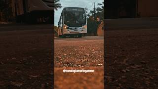 #emalta #busologia #busólogos #foryou #maringá #tccc