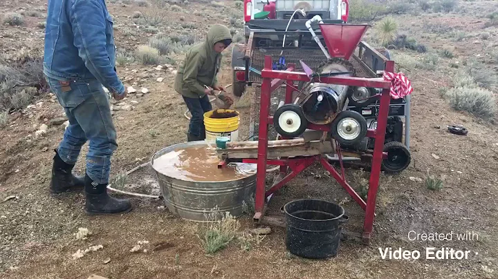 Tuckers gold mining with little red.